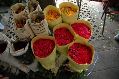 COMERCIO - RAMOS EMBALADOS